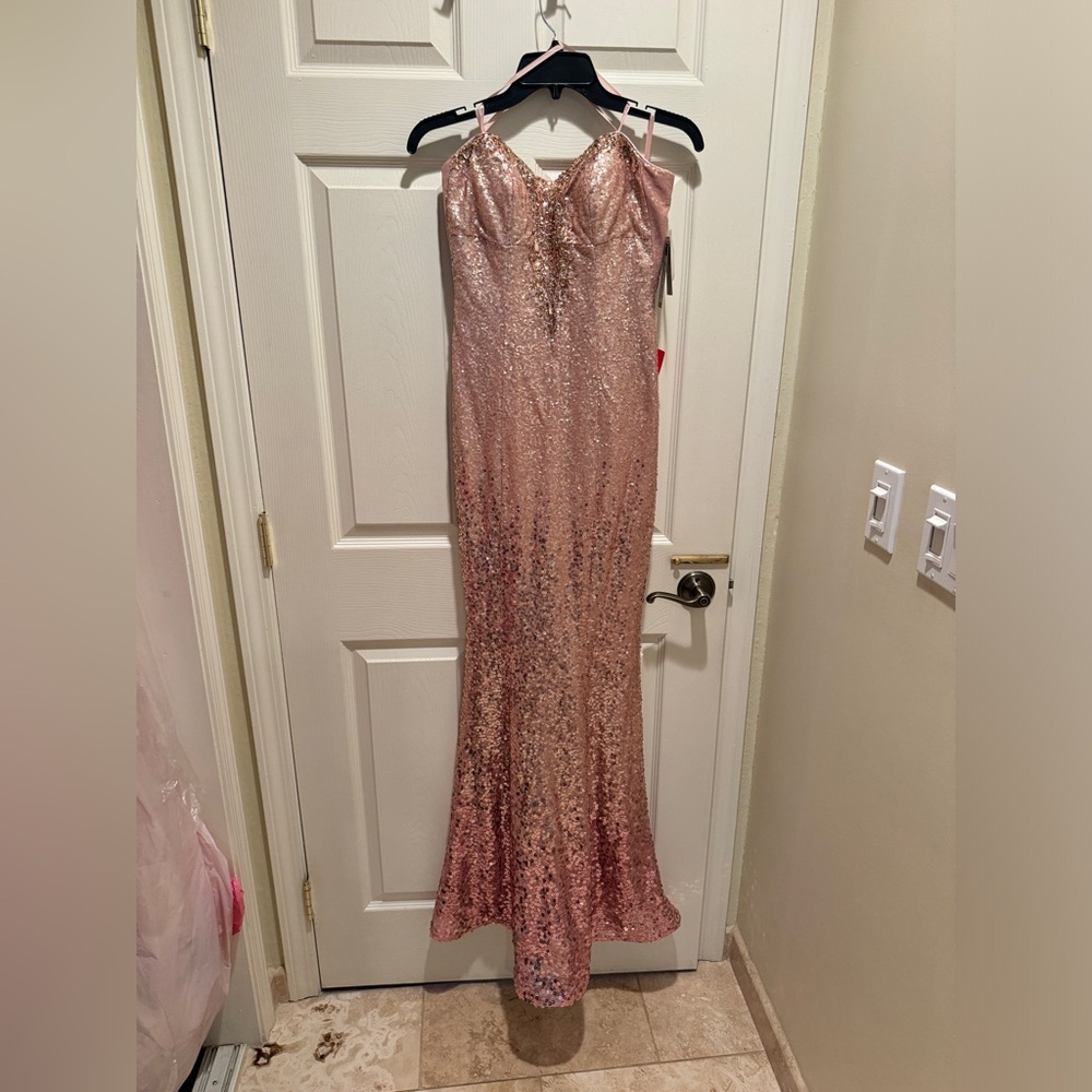Blush Sequin Dress Gown
